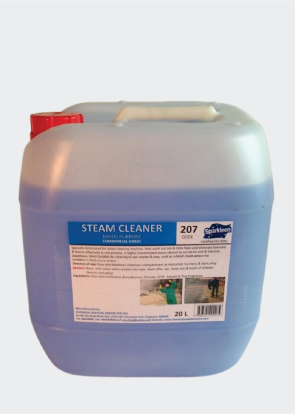 Sparkleen Steam Cleaner